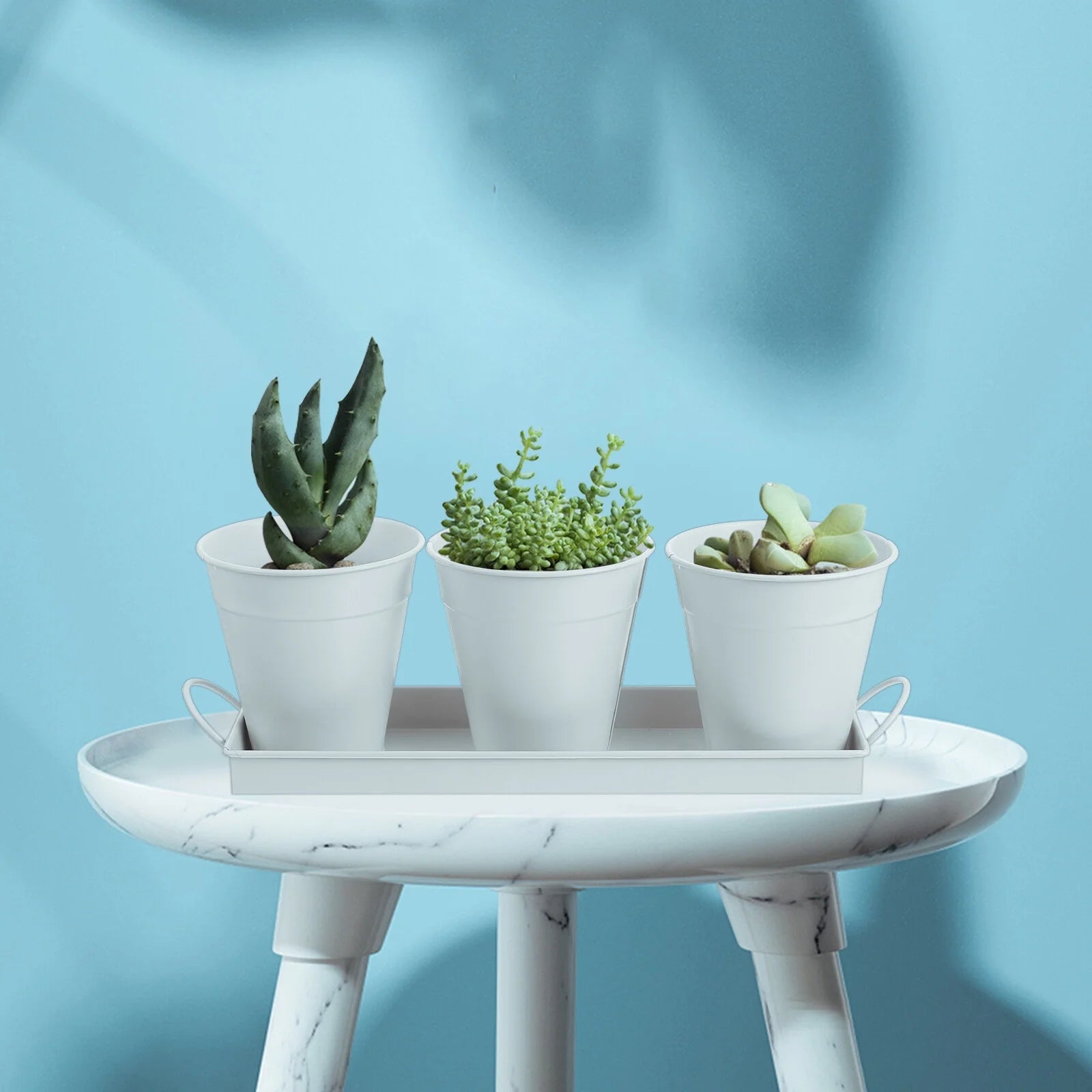 6 pcs Garden Flower Pot with 1pc Tray R34198