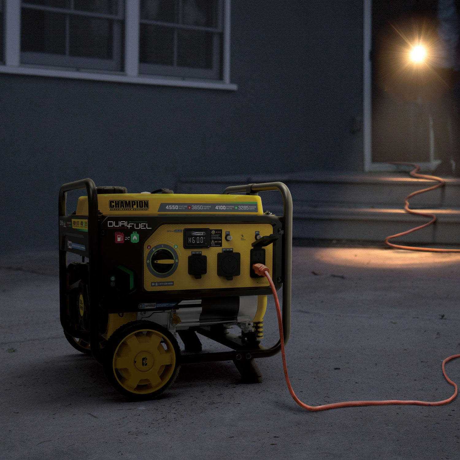 3650 W Dual Fuel Generator Y789
