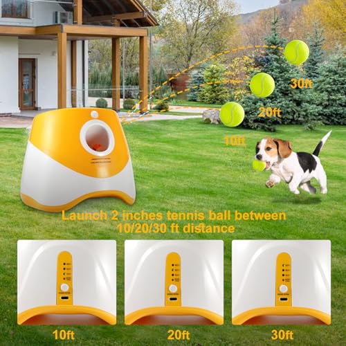 Green Blue Automatic Ball Launcher J467