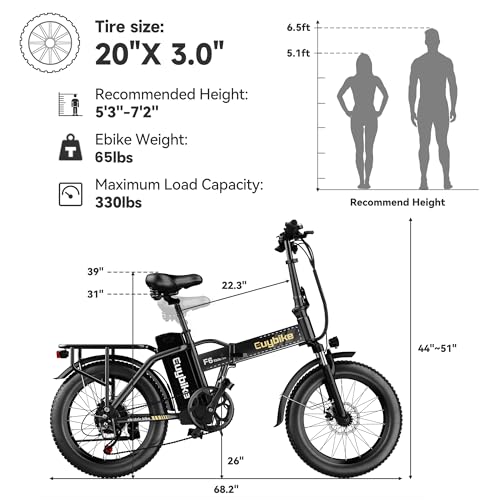 20" Fat Tire Folding Electric Bike with 48V 20AH Removable Battery Q99011