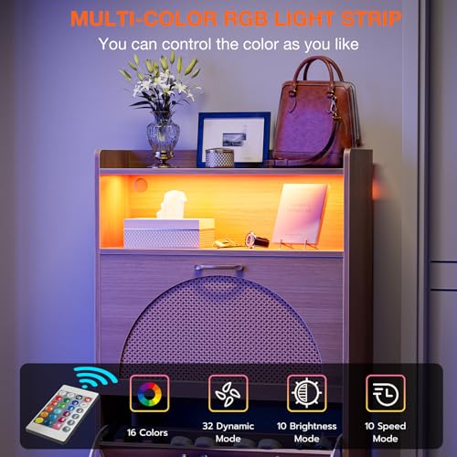 Natural LED Rattan Wood Shoe Storage Cabinet with 2 Flip Drawers W6869