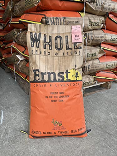 Feed Grade Oats, 50 lb X325