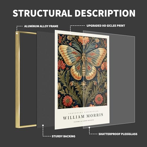 William Morris Wall Art set of 3 large Framed Vintage botanical Colorful Abstract Nature Flowers Canvas Art Gold Frame J263127