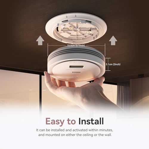 2 in 1 Smoke Detector Carbon Monoxide Detector with LCD Display (1pack) N2377