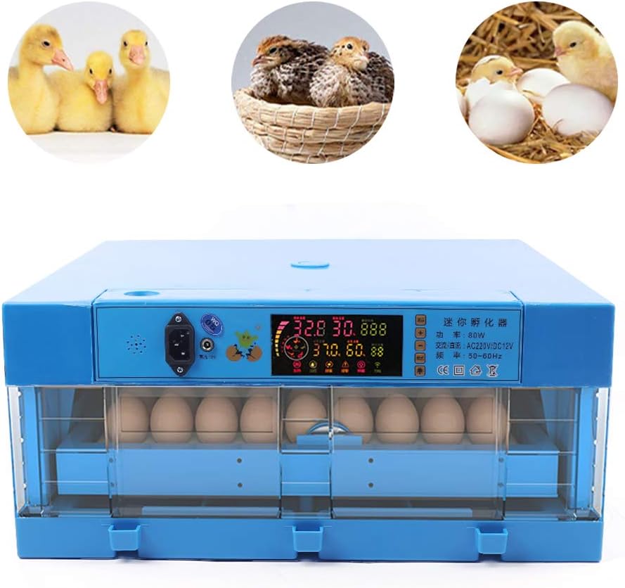 64 Eggs Automatic Digital Egg Incubator with Automatic Egg Turner H968