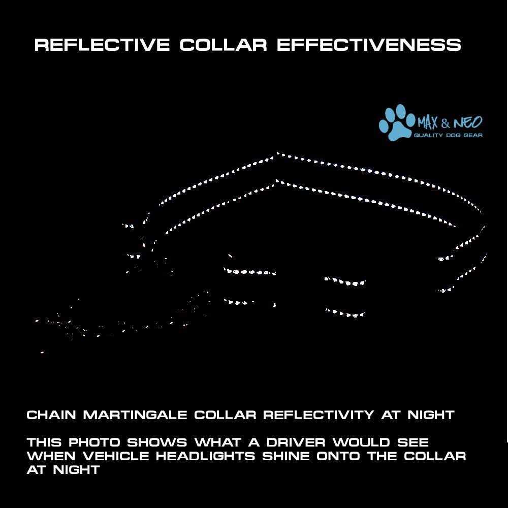 Stainless Steel Chain Martingale Collar P848818
