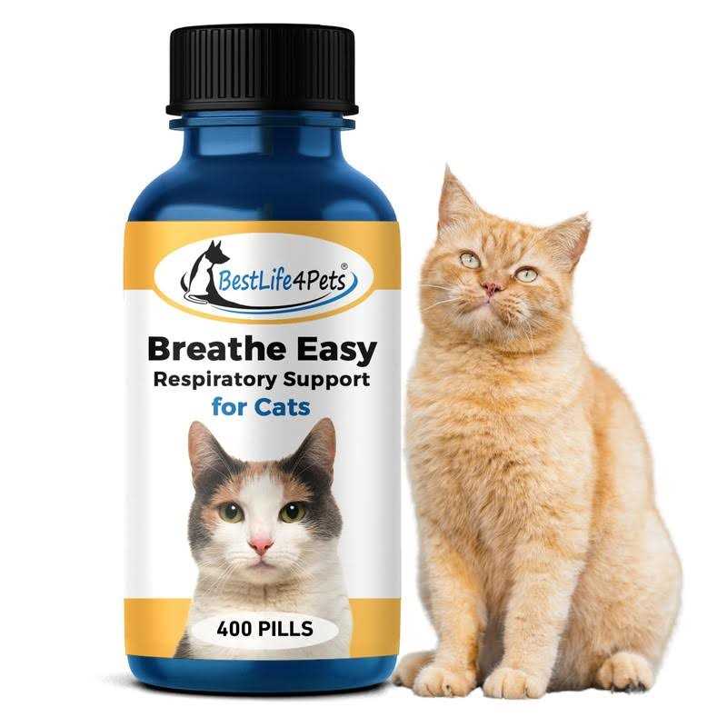 Breathe Easy for Cat Z313