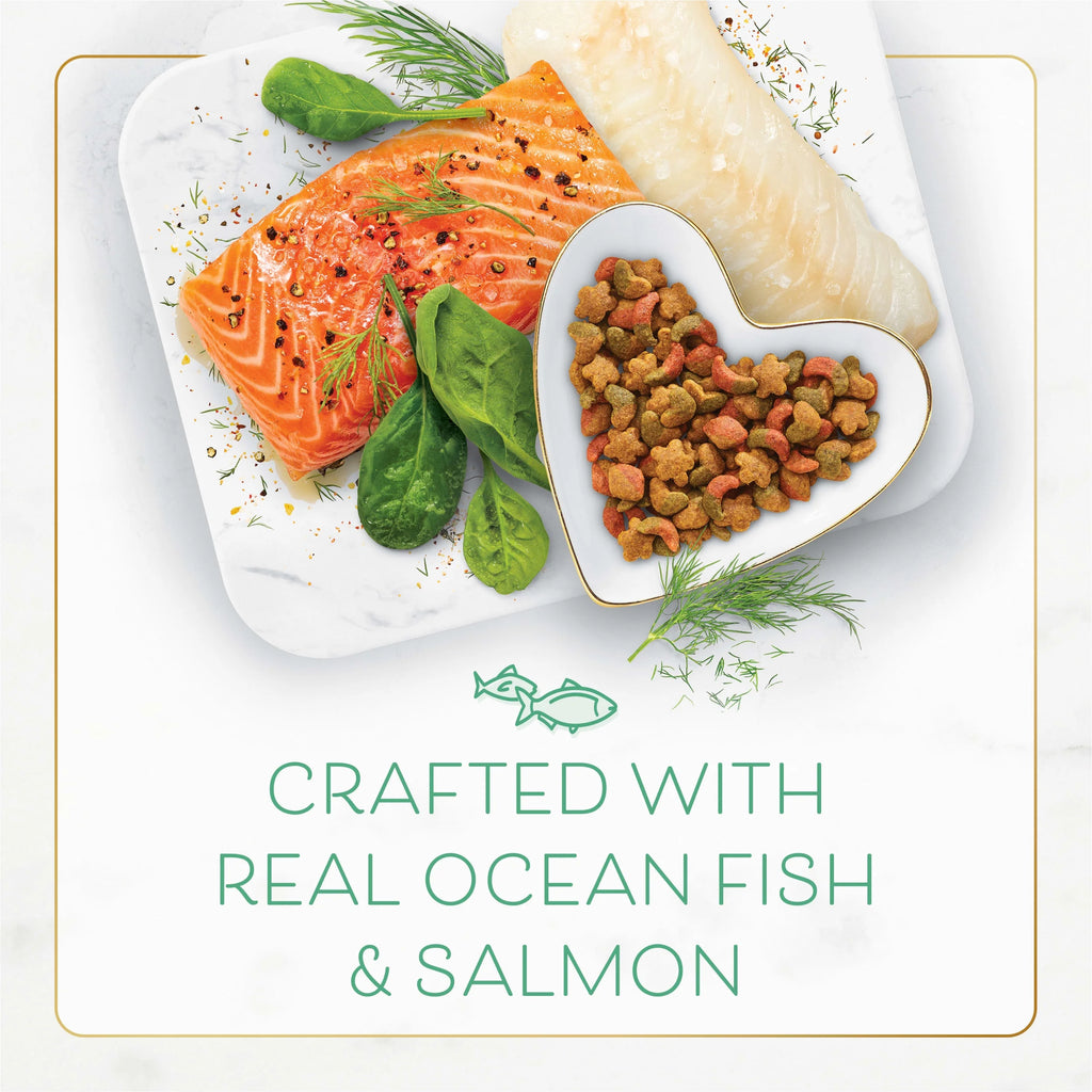 Dry Cat Food with Ocean Fish and Salmon R731698