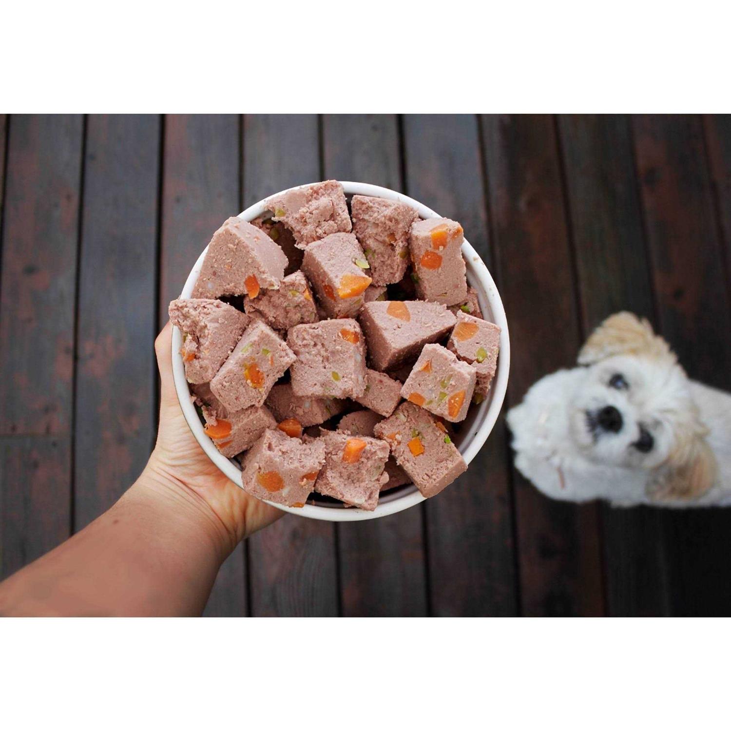 Grain Free Turkey Recipe Dog Food H999235