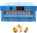 64 Eggs Automatic Digital Egg Incubator with Automatic Egg Turner H968