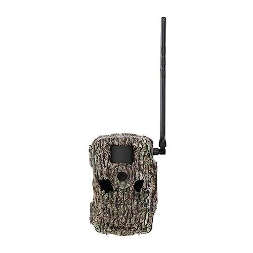 Treebark Camo 36MP 1080P Cellular Trail Camera with 32 GB SD Card and Card Reader (2-Pack) P1091