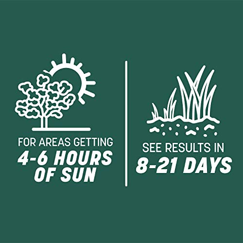7 lb Tall Fescue Grass Seed Mix L7646