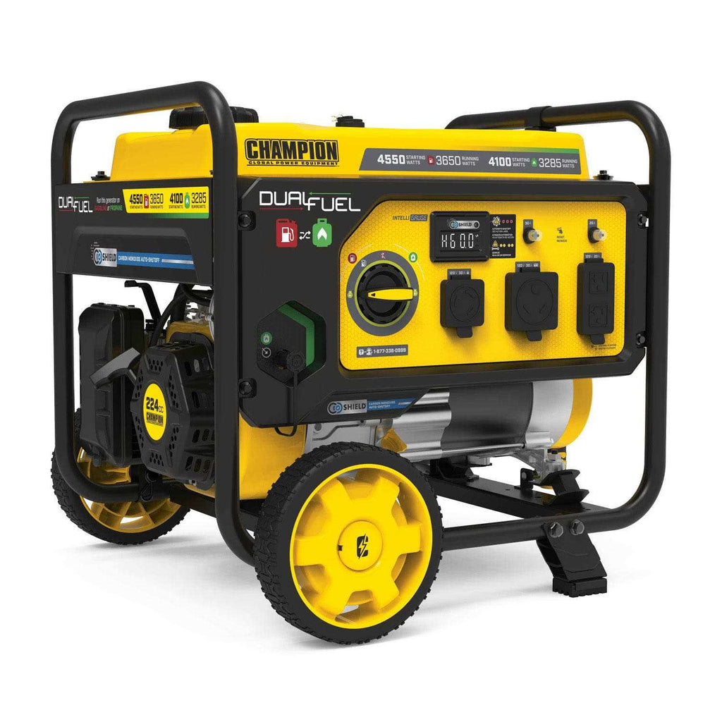 3650 W Dual Fuel Generator Y789