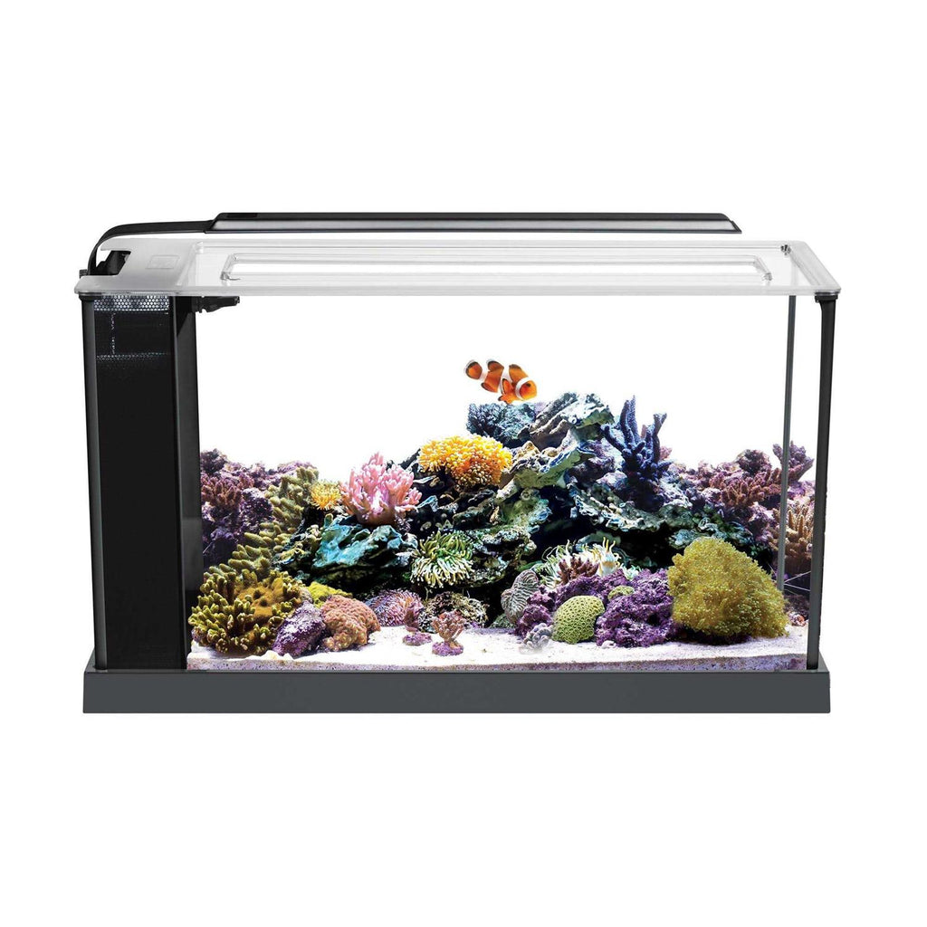 Aquarium Kit M7229