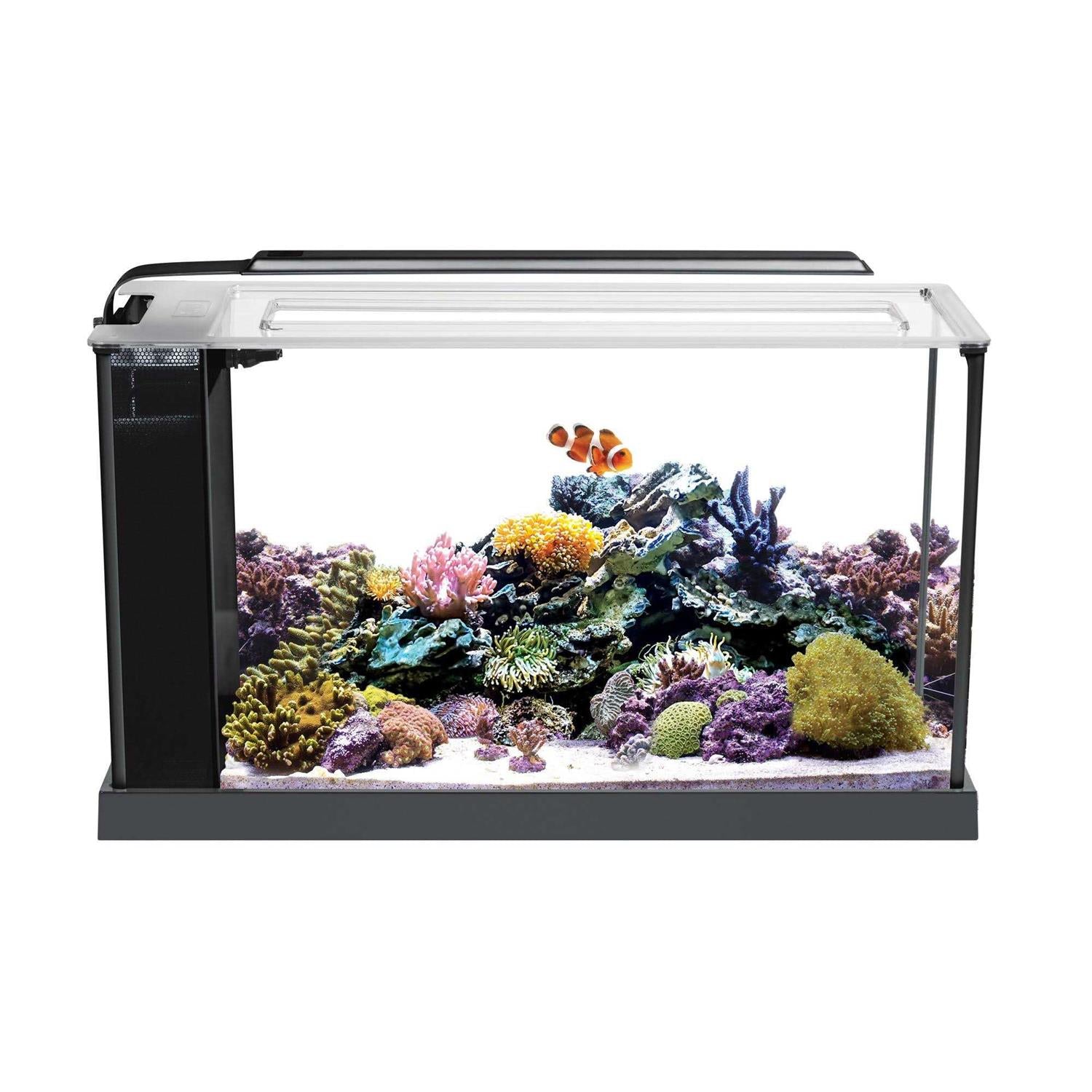 Aquarium Kit M7229