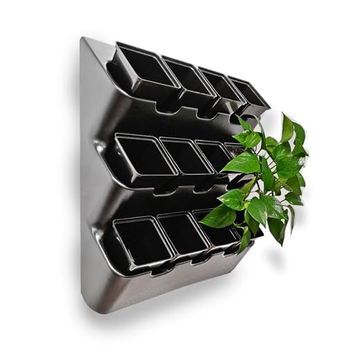 White Wall Planter with Black Square Pots M350