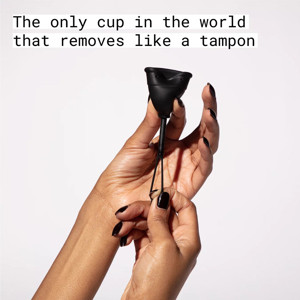 Reusable Menstrual Cup Size 2 with 2 Disposable Menstrual Discs, 1 Count Y443