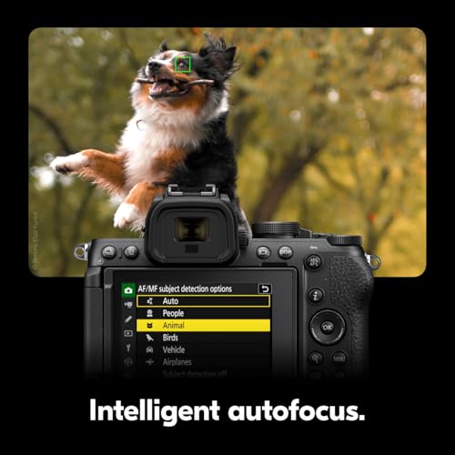 Compact Mirrorless Camera with Two Lenses I54086