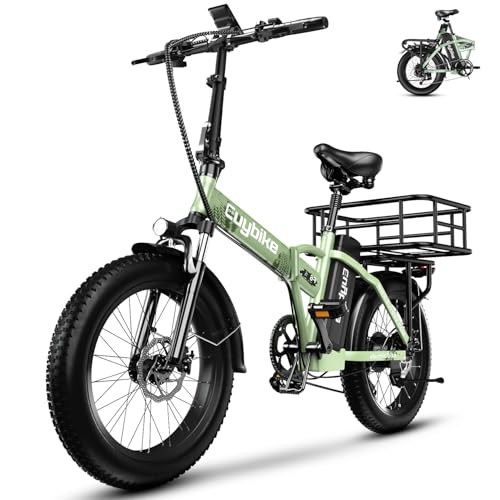 20" Fat Tire Folding Electric Bike with 48V 20AH Removable Battery Q99011
