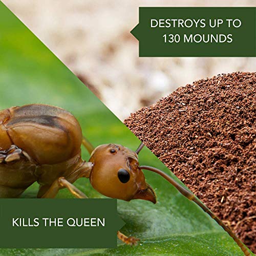 Fire Ant Killer Dust 1 lb Pack of 2 O918