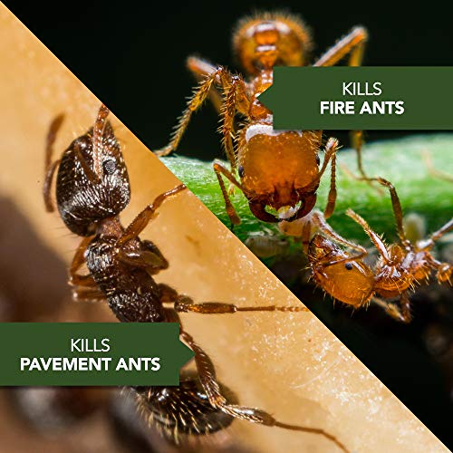 Fire Ant Killer Dust 1 lb Pack of 2 O918