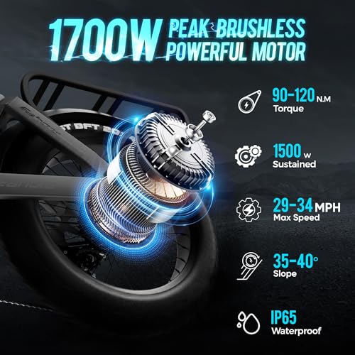 52V 60Ah 20" Fat Tire Full Suspension Electric Bike Q8396
