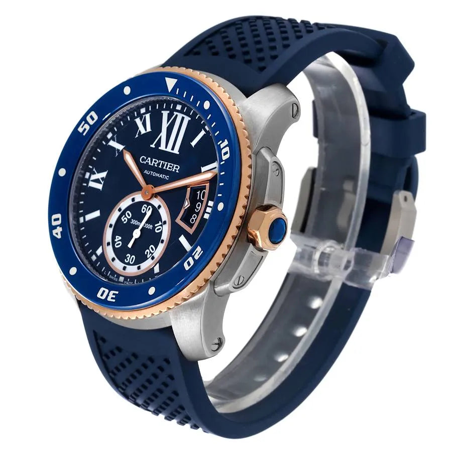 Leather Watch W306486
