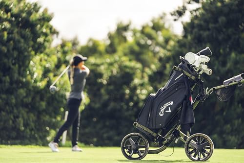 Fairway 14 Golf Bag H3398