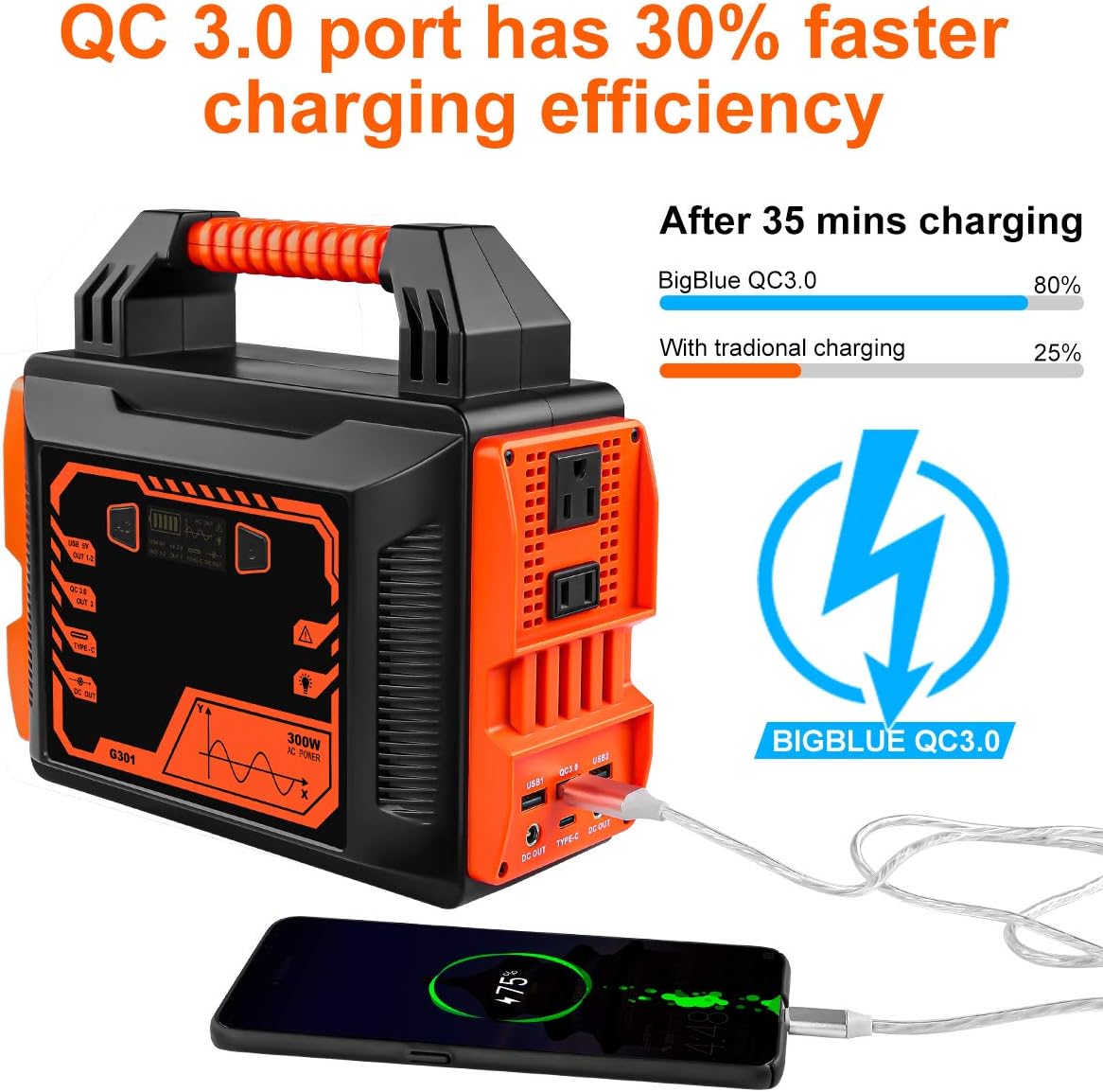 300Wh Portable Power Station with 110V/200W AC Outlet Q307578