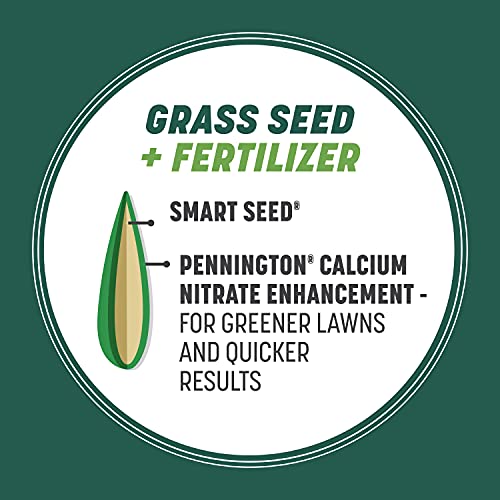 7 lb Tall Fescue Grass Seed Mix L7646