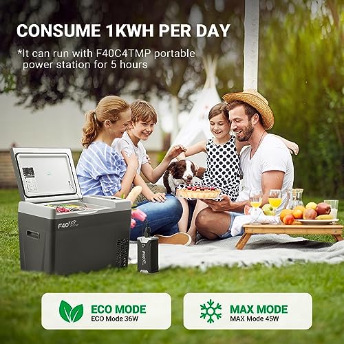 12V Portable Car Refrigerator Freezer Y6496