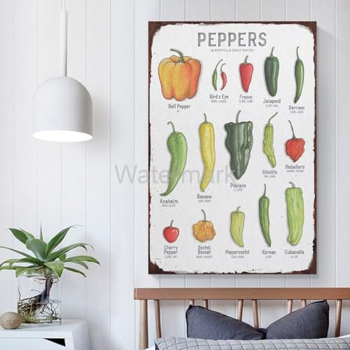 16x24inch Laminated Kitchen Poster R912