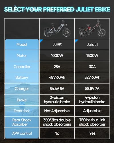 52V 60Ah 20" Fat Tire Full Suspension Electric Bike Q8396
