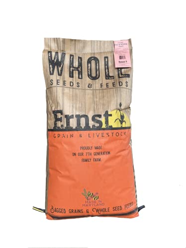 Feed Grade Oats, 50 lb X325