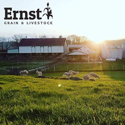 Feed Grade Oats, 50 lb X325