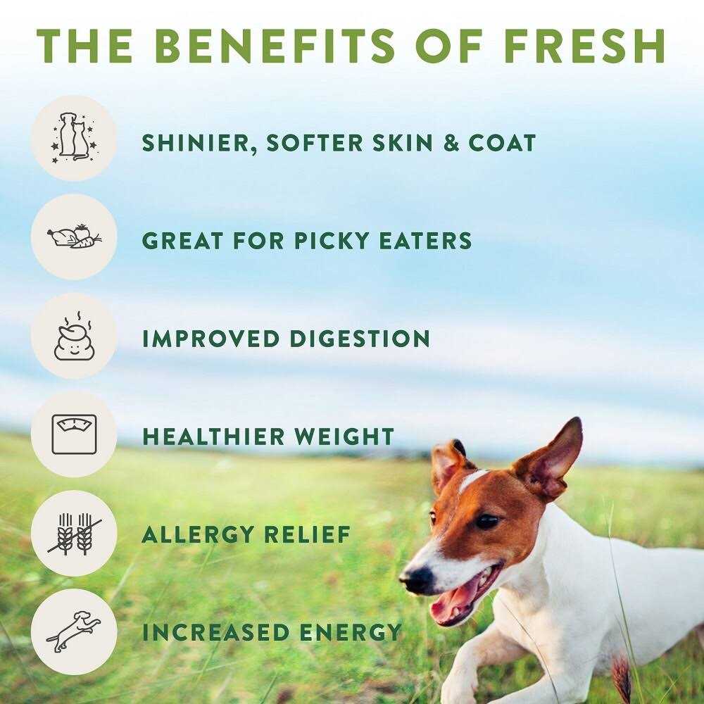 Tender Chicken Recipe Dog Food Roll I455