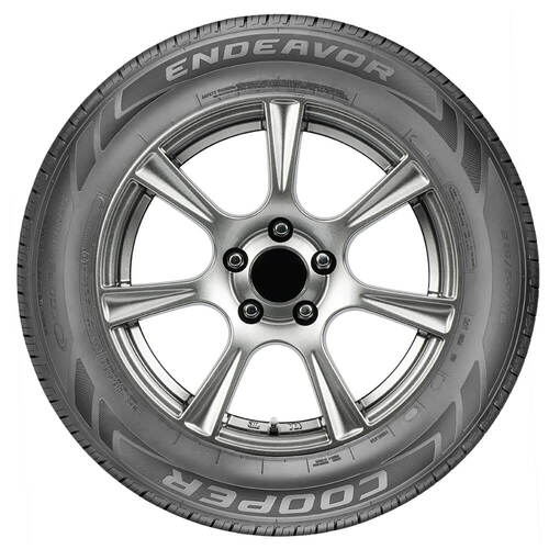 215/50R17XL 95V BSW Tires F203757