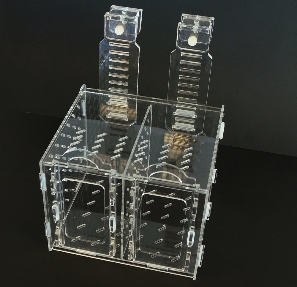 Collapsible Acclimation Box U188