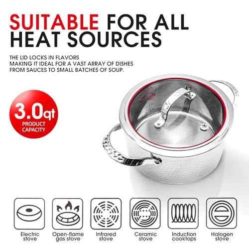 Stainless Steel Stockpot 10 Quart with Lid B87111