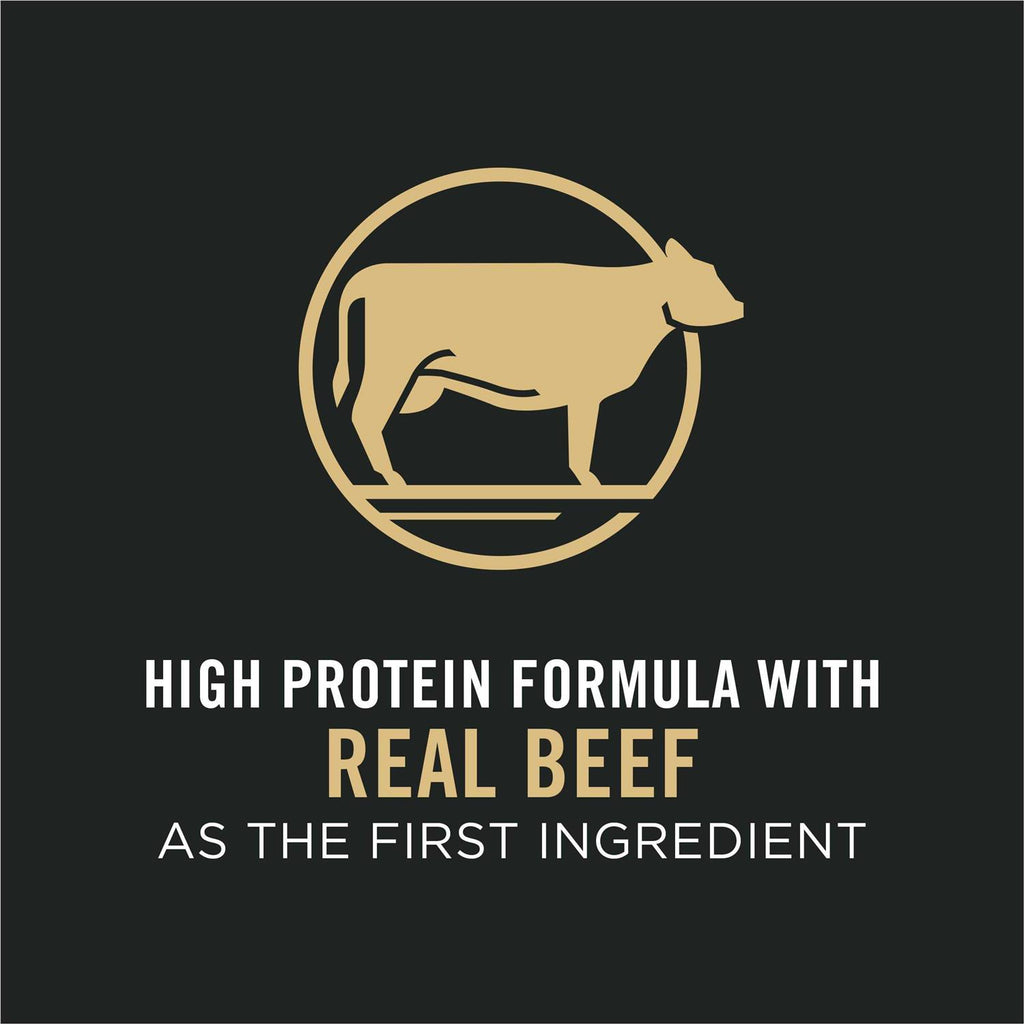 High Protein Shredded Blend Beef & Rice Formula Small Breed Dry Dog Food G217774