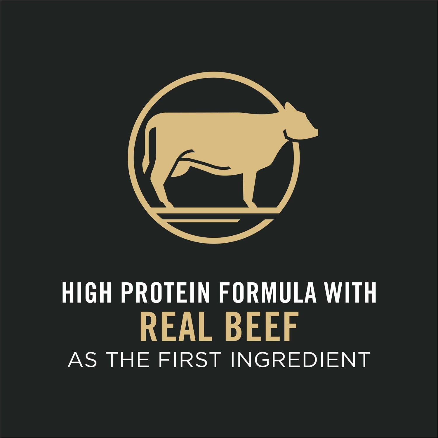 High Protein Shredded Blend Beef & Rice Formula Small Breed Dry Dog Food G217774