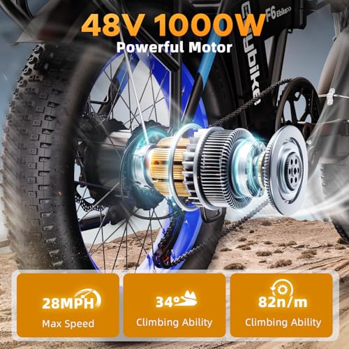 20" Fat Tire Folding Electric Bike with 48V 20AH Removable Battery Q99011