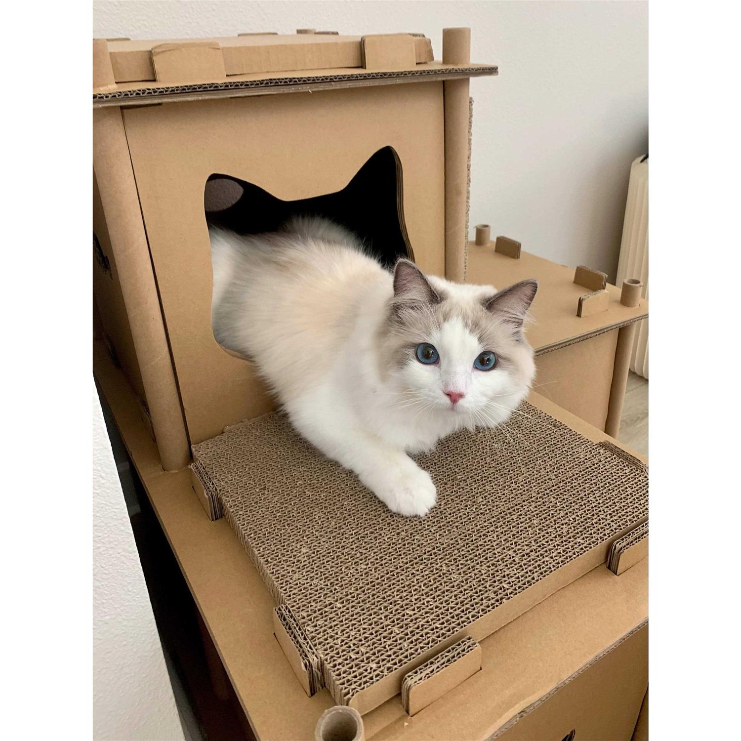Cat House T342