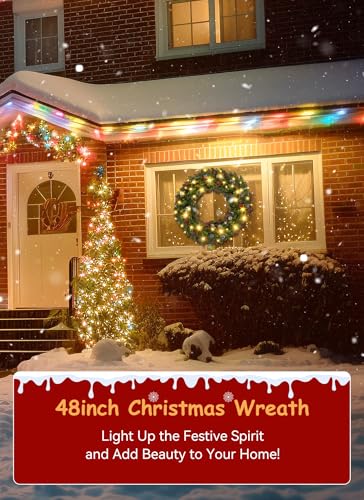 24 Inch Pre-Lit Artificial Christmas Wreath with 50 Lights W385743