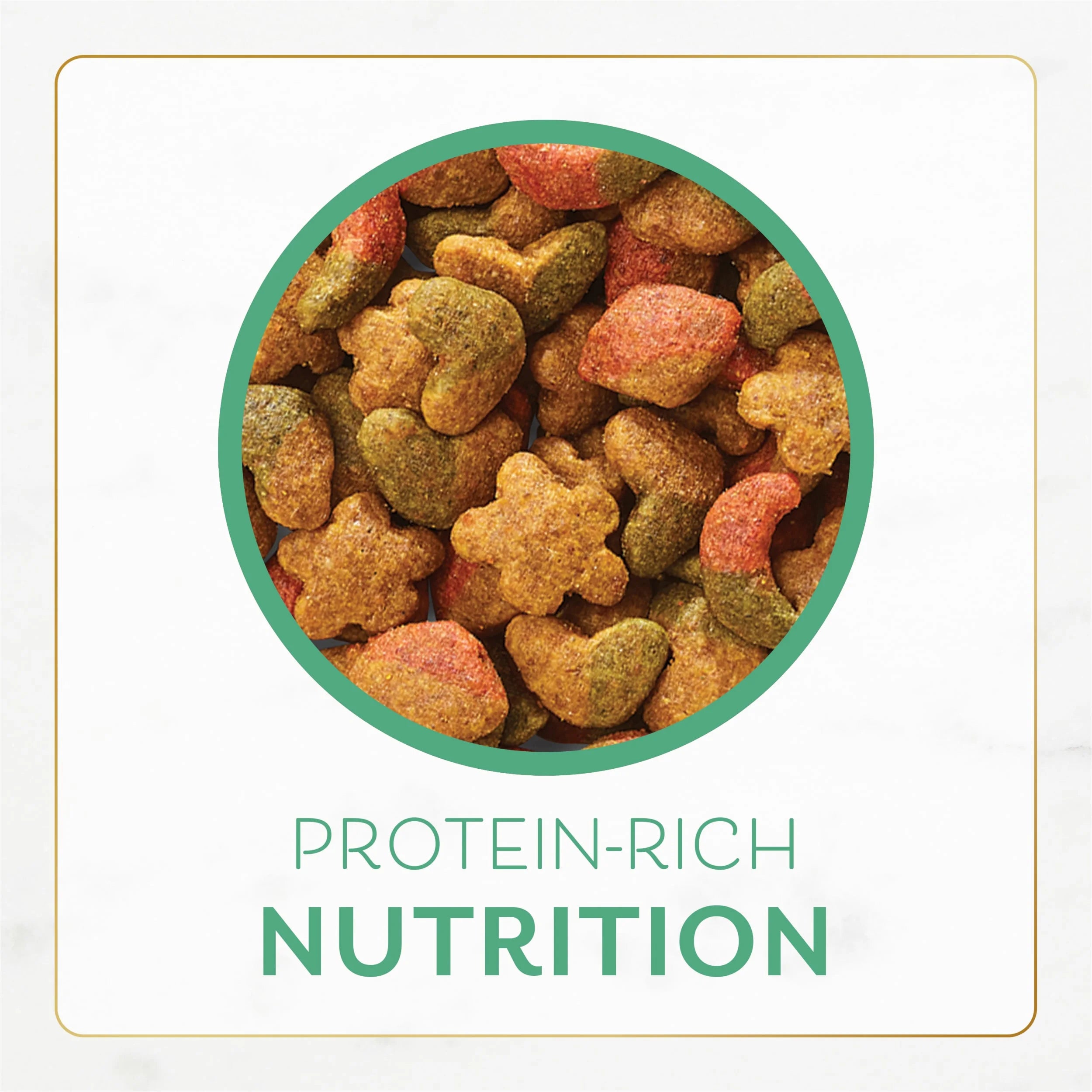 Dry Cat Food with Ocean Fish and Salmon R731698
