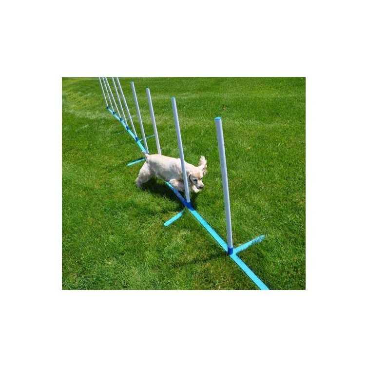 Agility Weave Poles Adjustable 6 Pole Set with Carrying Case and Grass Stakes K7097