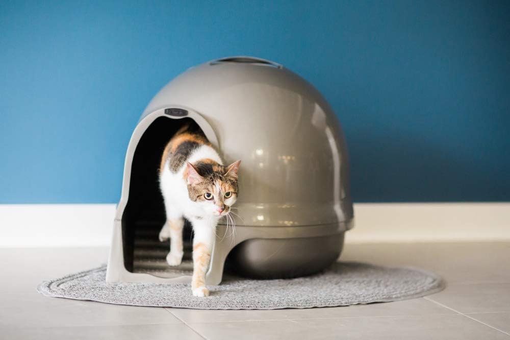 Cat Litter Box Dome Z5476