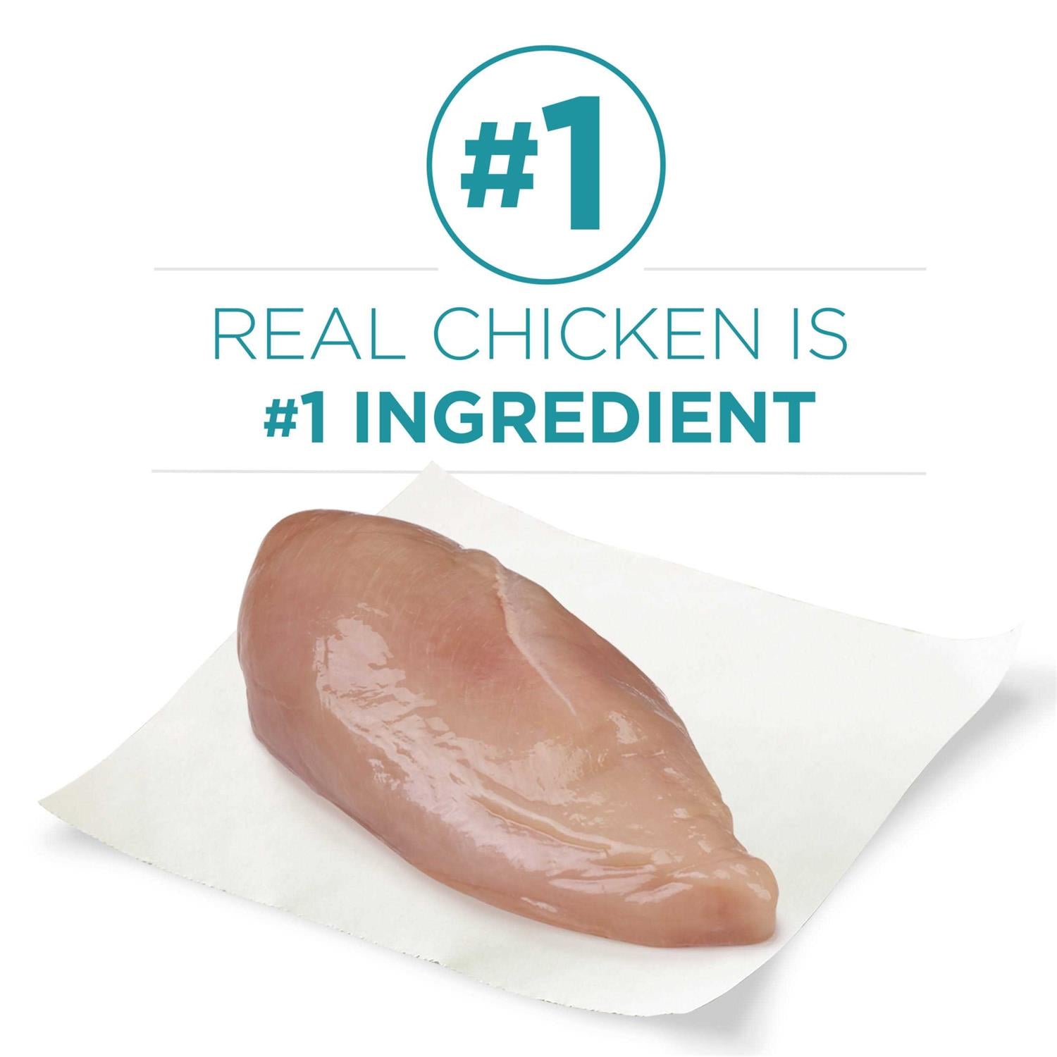 Dry Cat Food With Real Chicken A71351