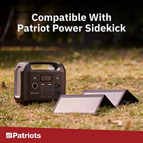 Patriot Power Sidekick Generator G8019
