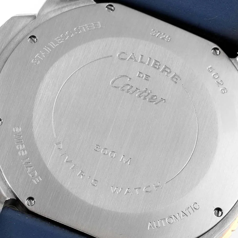 Leather Watch W306486